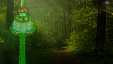 dainų švente 100 m